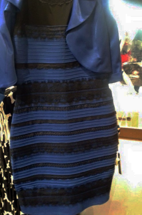 Black or white dress debate pictures Black or white dress debate pictures